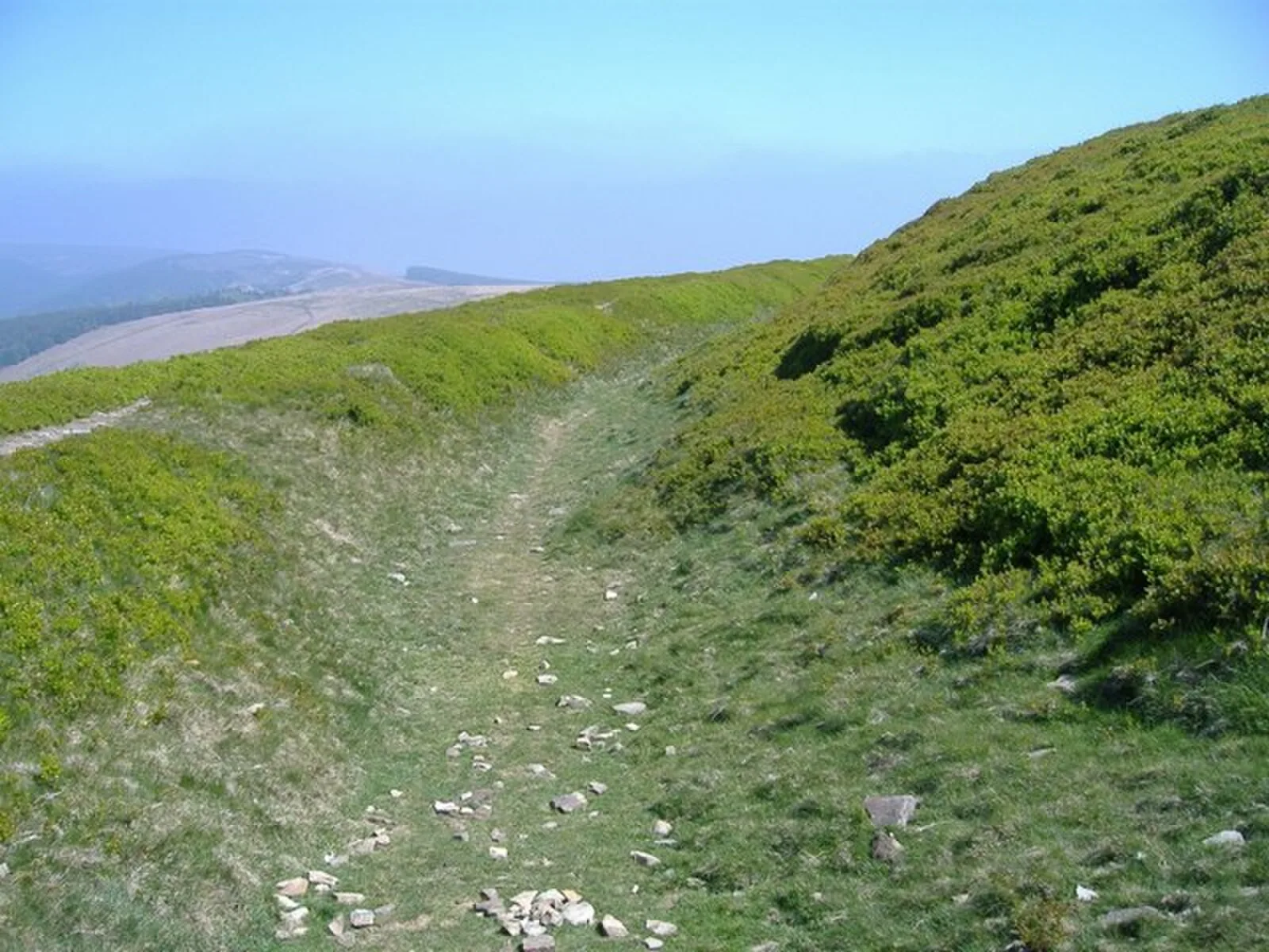Twmbarlwm